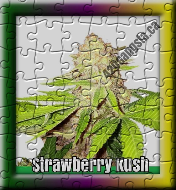 Strawberry Kush cannabis strain Puzzle