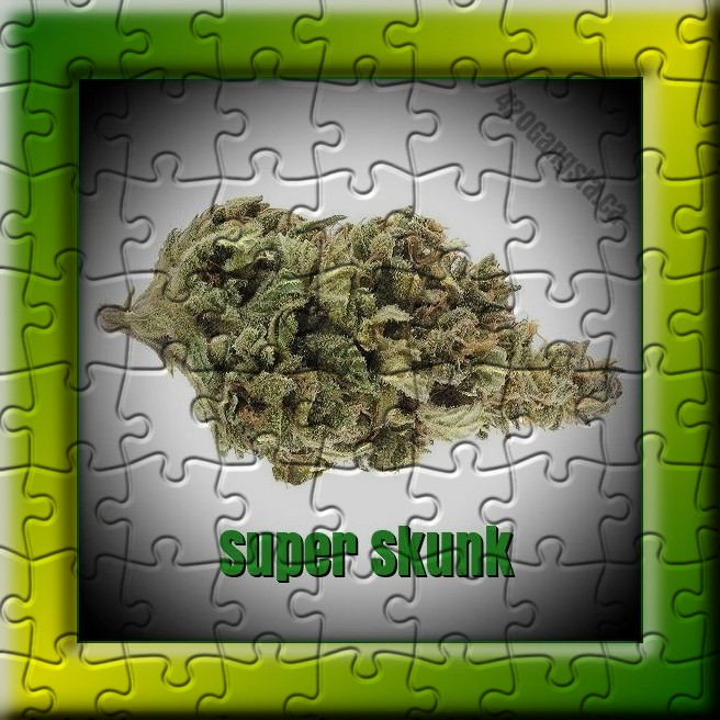 Super Skunk cannabis strain Puzzle