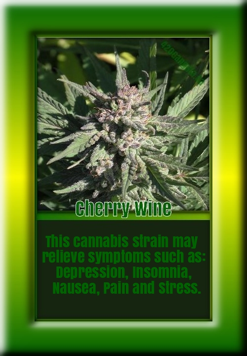 Cherry Wine cannabis strain may relieve symptoms such as: Depression, Insomnia, Nausea, Pain and stress.