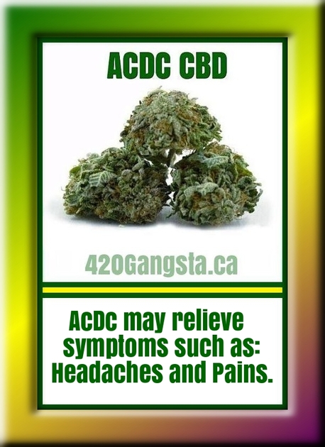 Image of AcDc CBD  Cannabis Strain 2018