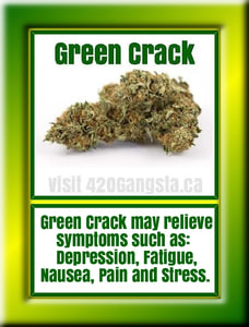 Bud of Green Crack Cannabis Strain 2018