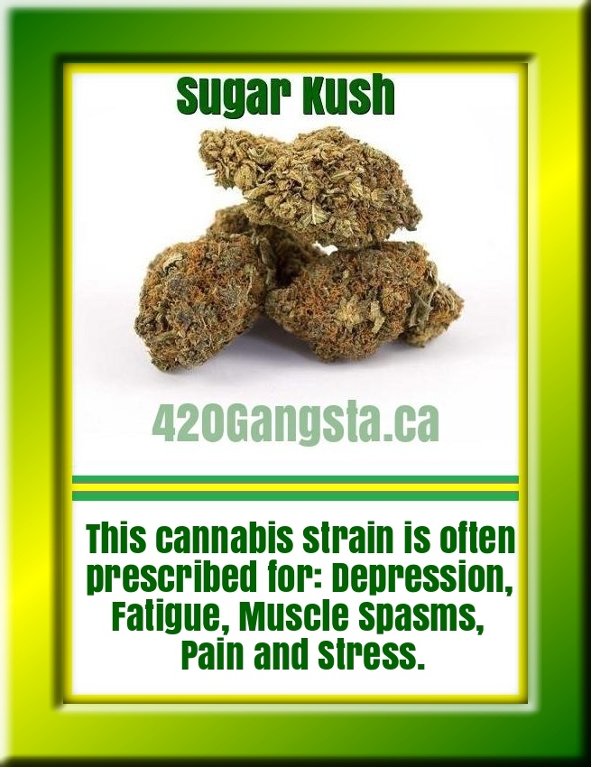 Image of Sugar Kush Cannabis Strain 2017
