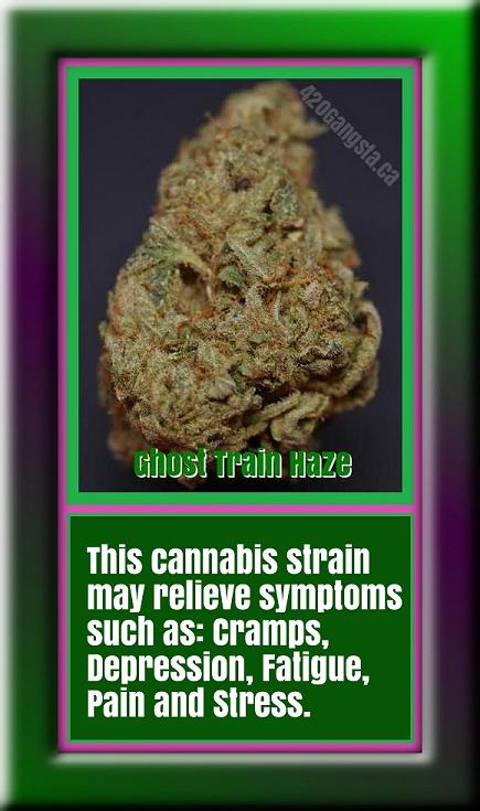 Ghost Train Haze Cannabis Strain
