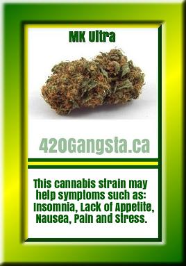 Mk Ultra Cannabis Strain