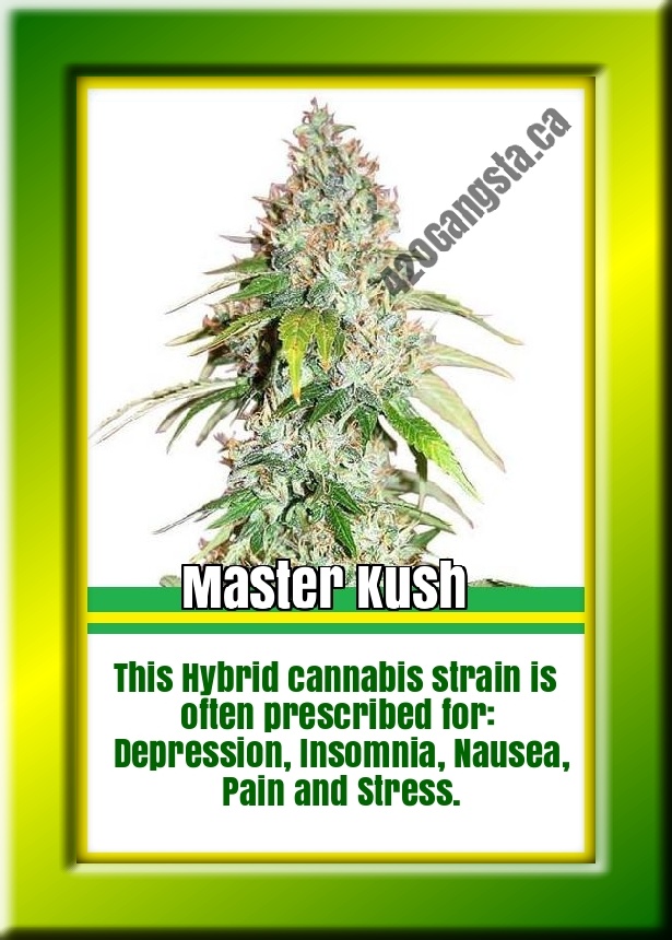 Master Cannabis strain information 2021