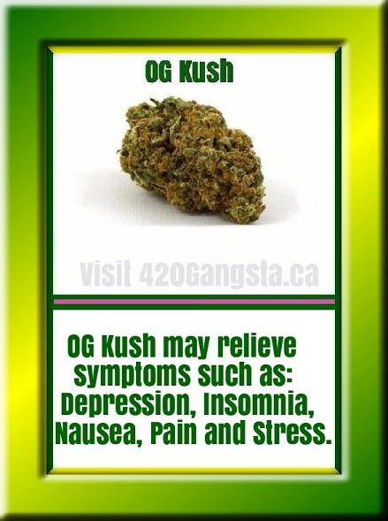Image of OG Kush July cannabis strain of the month.