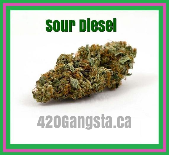 Sour Diesel Cannabis Strain