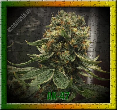 AK47 Cannabis image in puzzle format