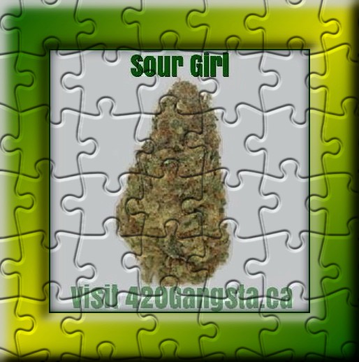 Sour Girl Cannabis Strain image in puzzle format