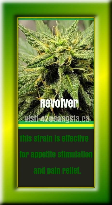 Revolver Cannabis Strain