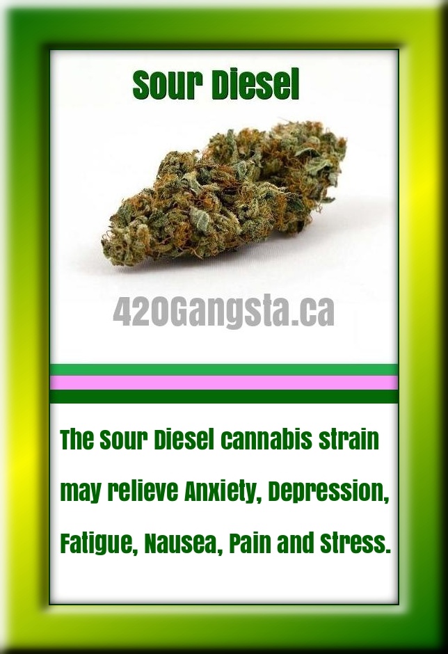 Sour Diesel cannabis 2021 strain information